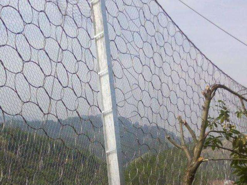 湖北RXI-200環形被動防護網