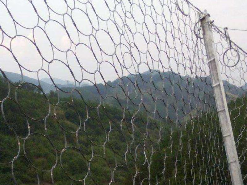 湖北RXI-200環形被動防護網