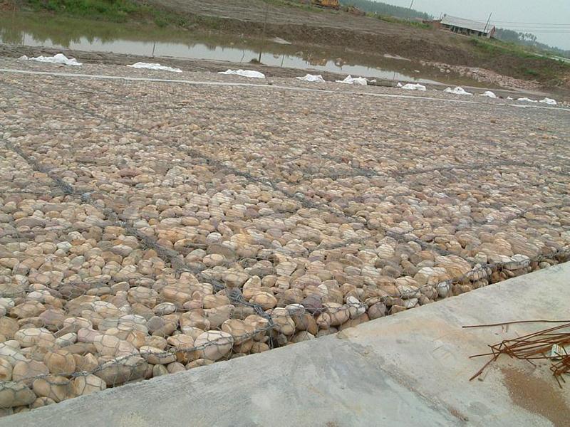浙江格賓雷諾護墊